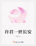 许君一世长安