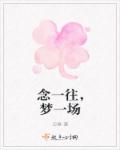 念一往,梦一场