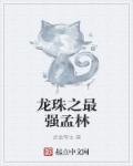 龙珠之最强选项系统