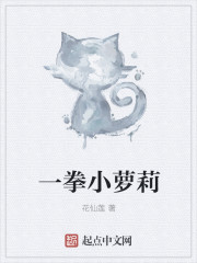 一拳小萝莉