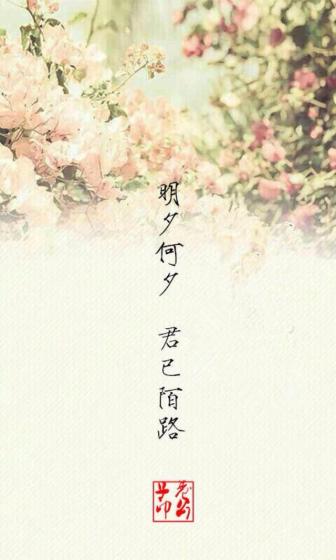 朝夕何夕,君已陌路