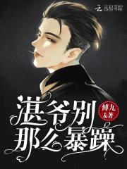 你好,痞子老公！