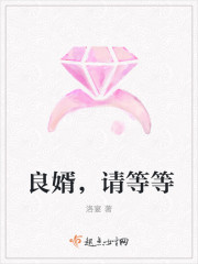 良婿,请等等