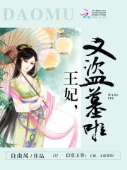 启禀王爷：王妃,又盗墓啦！
