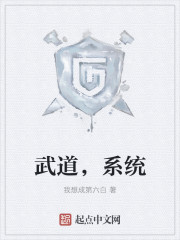 武道,系统