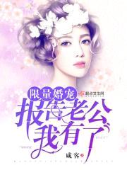 限量婚宠：报告军长,我有了