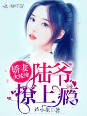 娇妻火辣辣：陆爷,撩上瘾！