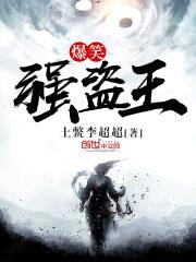 爆笑强盗王