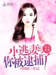 帝少来袭：小逃妻,你被逮捕了