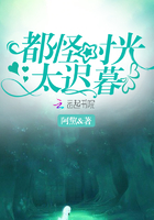 都怪时光太迟暮百度云