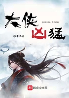 大侠魂小说