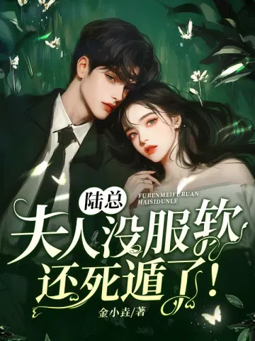 陆总,夫人没服软还死遁了！