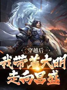 带着舰队穿越大明