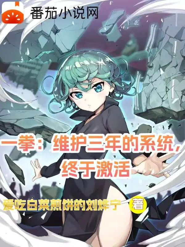 一拳：维护三年的系统,终于激活