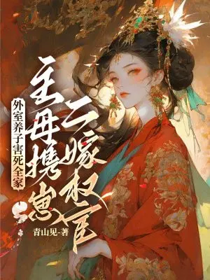 外室养子害死全家,主母携崽二嫁权宦