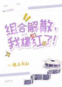组合解散,我爆红了！