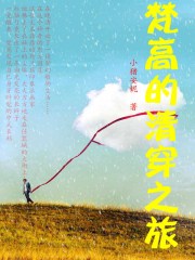 梵高的清穿之旅