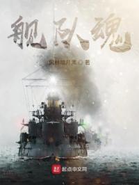 舰队魂最新章节
