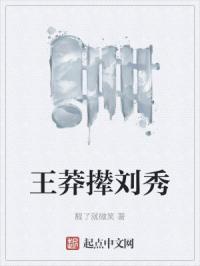 王莽撵刘秀最新章节