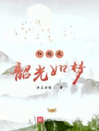 红楼之韶光如梦最新章节