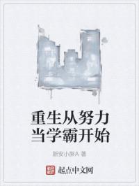 新安小胖A