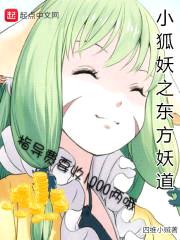 四维小贼