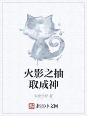 宠物玩家