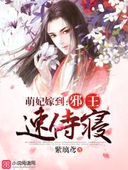 紫璃鸢