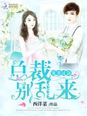 宠妻过急：总裁,别乱来！