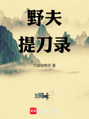 野夫提刀录(大脑被掏空)_野夫提刀录全文免费阅读无弹窗_玄幻小说_新笔趣阁