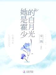 总裁大人,偏要宠！