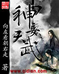 天神武帝 小说