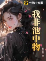 我非池中物(夜泊秦淮)_我非池中物全文免费阅读无弹窗_都市小说_新笔趣阁