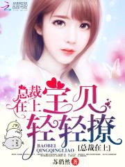 总裁在上：宝贝,轻轻撩