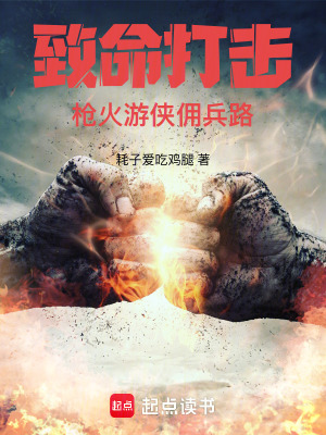 致命打击：枪火游侠佣兵路(耗子爱吃鸡腿)_致命打击：枪火游侠佣兵路全文免费阅读无弹窗_都市小说_新笔