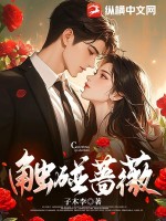 触碰蔷薇(子木李)_触碰蔷薇全文免费阅读无弹窗_玄幻小说_新笔趣阁