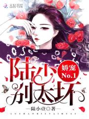 娇宠No.1：陆少,别太坏！