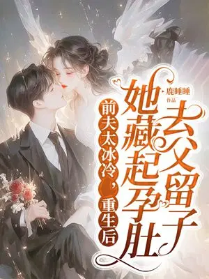 前夫太冰冷 ,重生后她藏起孕肚去父留子