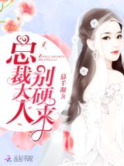 总裁大人,别硬来