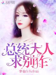 总统大人,求别作！