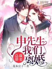 总裁娇妻：申先生,我们离婚