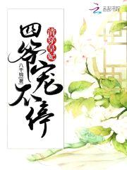 清穿皇妃：四爷,宠不停