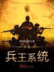 热血兵王系统