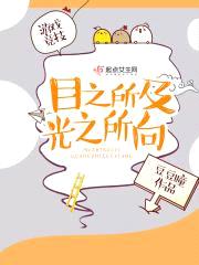 目之所及,光之所向
