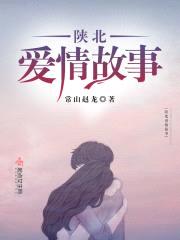 陕北爱情故事