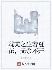 耽美之生若夏花,无余不开