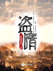 盗隋