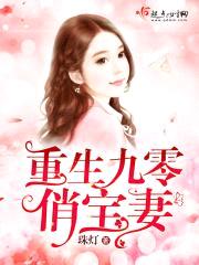 重生九零俏宝妻