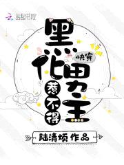 快穿：黑化男主,撩不得