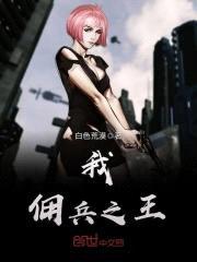 我,佣兵之王